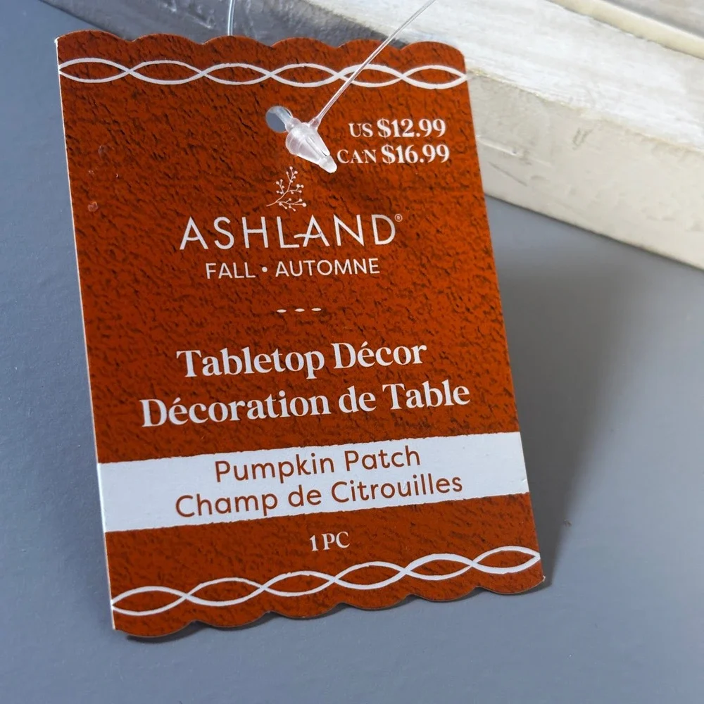 Ashland Thankful Tabletop Decor Pumpkin Patch Fall Autumn Decoration‎ - Picture 4 of 7